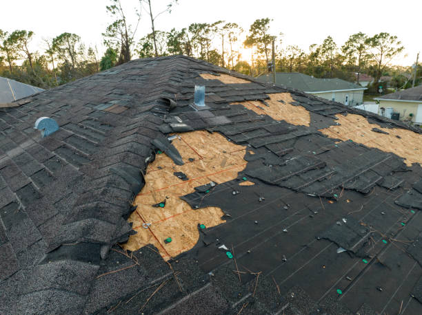 Best Roof Moss and Algae Removal  in Whitney, SC